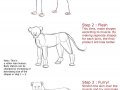 Lion_Anatomy_tutorial_by_it_ktdf.jpg